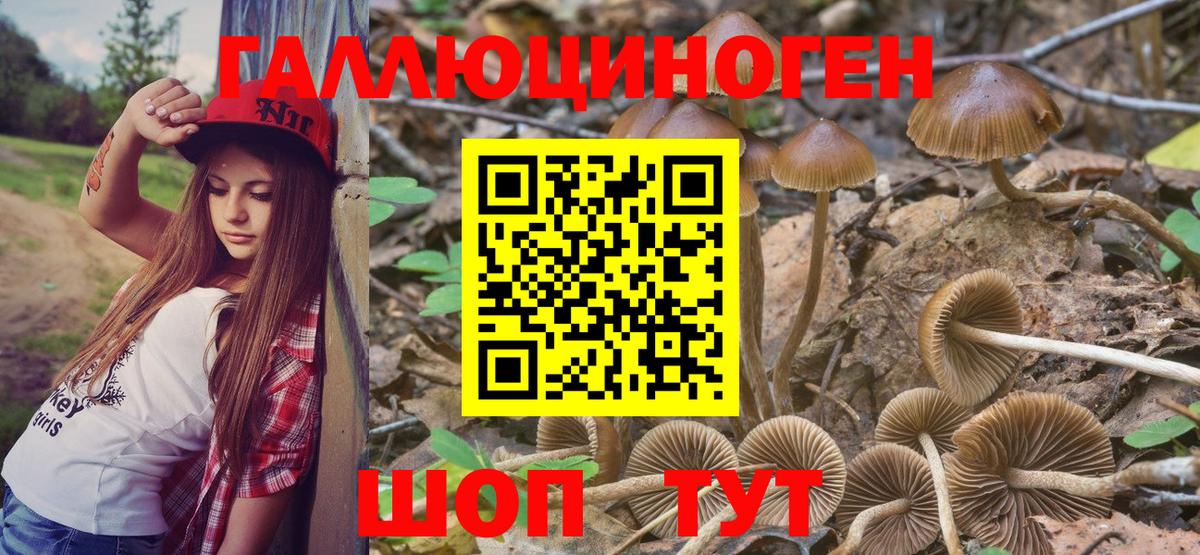 Верхний Уфалей  Галлюциногенные грибы мицелий  Вход с VPN 